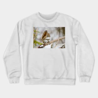 Red Squirrel Crewneck Sweatshirt